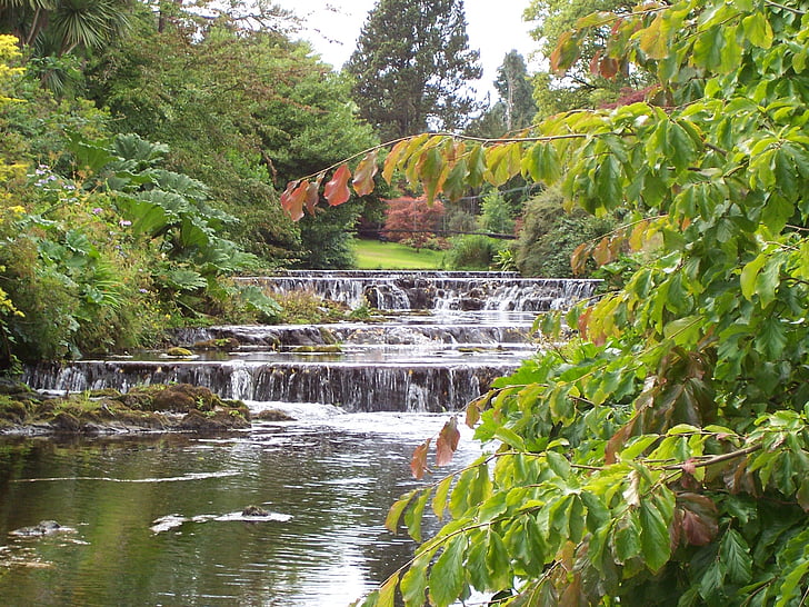 mooie scène, water, weinig water vallen, groene bomen, groene bank, rivier bank, pittoreske