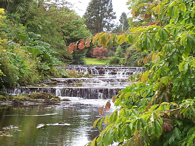 hezká scéna, vody, malý vodopád, zelené stromy, Green bank, breh rieky, malebné