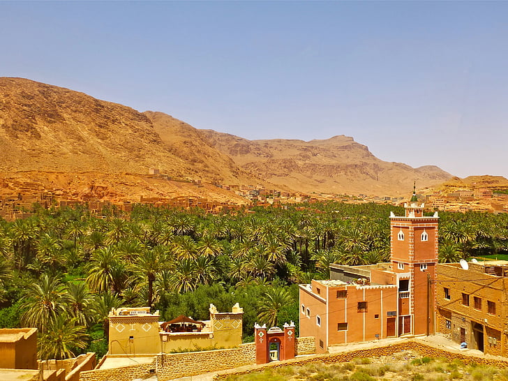 Marokko, Landschaft, Afrika, seinen, Natur, Stadt, Palm grove