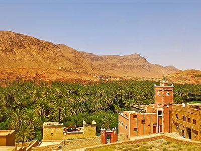 Мароко, пейзаж, Африка, marroc, природата, град, палмова горичка