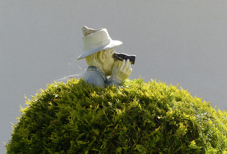 binoculars, bush, sensing, stalk, man, garden, figure