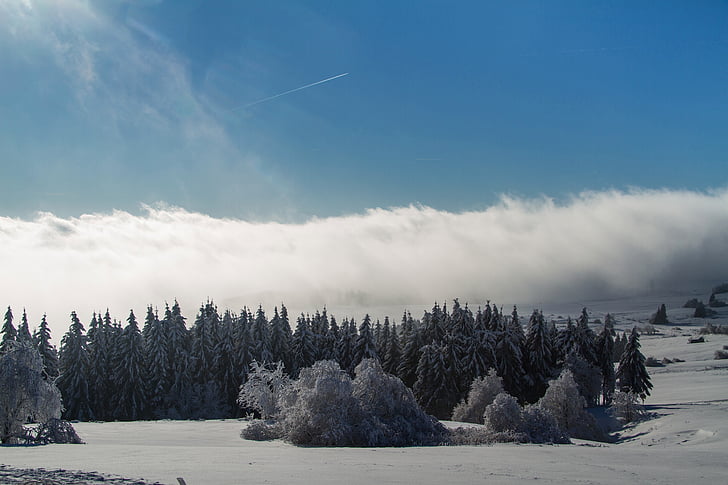 l'hivern, neu, hivernal, hochrhoen, Wasserkuppe, hivern Rhön, cobert de neu