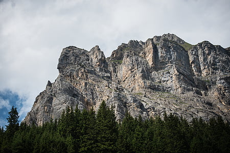 cinza, preto, rochoso, montanha, colina, pedras, verde
