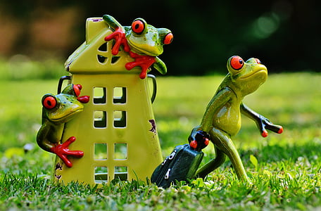 frogs, farewell, home, cute, frog, funny, figure