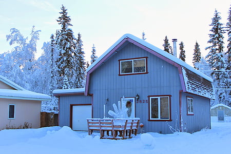 gozd, hiša, bela, pozimi, hladno, sneg, LED