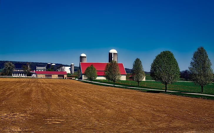 granja, Amish, Pennsilvània, paisatge, graner, l'agricultura, paisatge