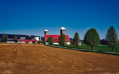 pertanian, Amish, Pennsylvania, pemandangan, gudang, pertanian, pedesaan