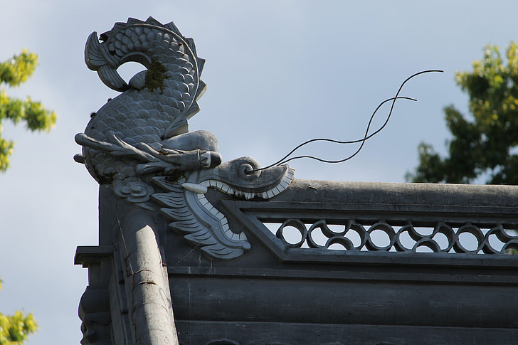 dragon chinois, Chinois, Dragon, oriental, Chine, l’Asie, culture