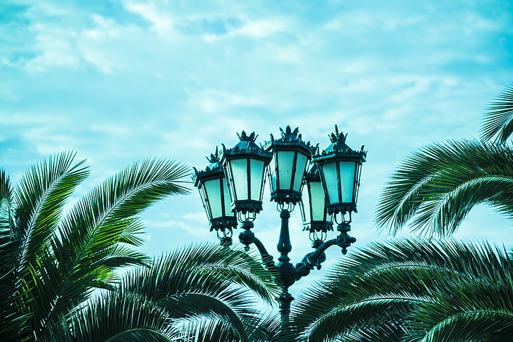 Street lampe, himmelen, stranden, Horizon, skyer, trær, Costa
