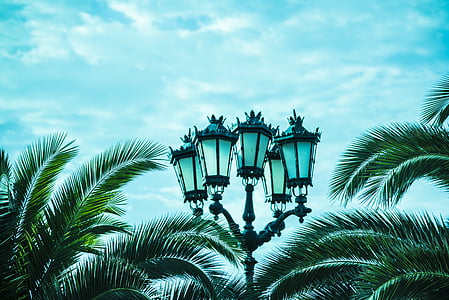 lâmpada de rua, céu, praia, Horizon, nuvens, árvores, Costa