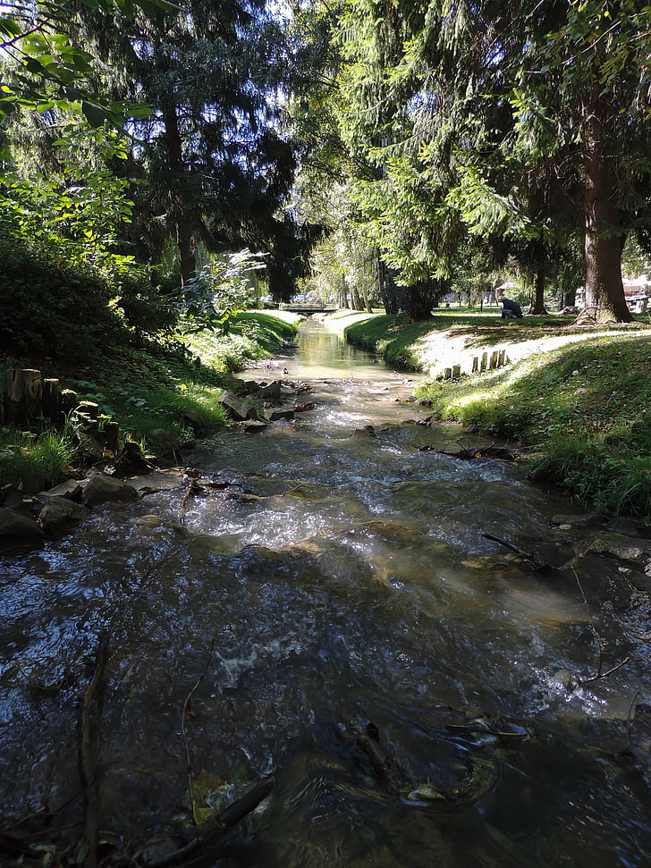 the brook, river, water, park, rest, stream, nature