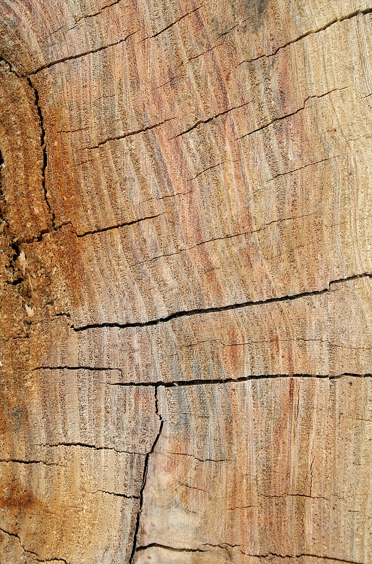 Holz, Korn, Textur, Panel, Holz, Hintergrund, Nut