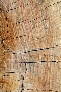 madeira, grão, textura, painel de, madeira, plano de fundo, sulco