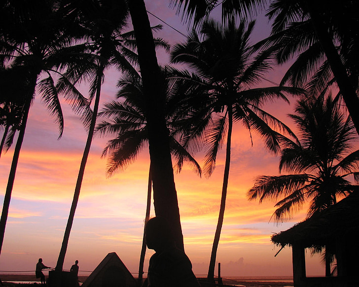 Захід сонця, пальмові дерева, Індія, пляж, Тропічна, небо, Рай