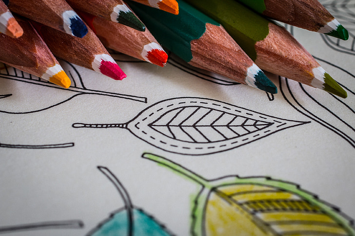 สมุดระบายสีสำหรับผู้ใหญ่, ดินสอสี, สมุดระบายสี, ความคิดสร้างสรรค์, เครียดเชิง, สี, ปากกา