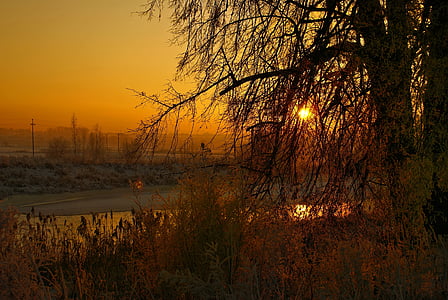 Sungai, musim dingin, matahari terbenam, pemandangan, Sungai beku, dongeng musim dingin, Podlasie