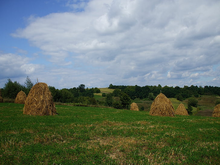 haystacks, maaelu, maal, loodus, põllumajandus, maaelu stseen, Bale