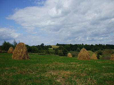 Haystacks, kaimo, kaime, Gamta, žemės ūkis, kaimo scena, ritinio