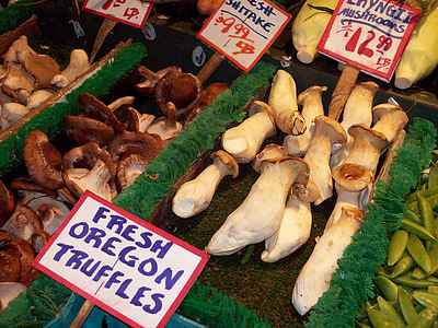 champinjoner, tryffel, bondens marknad, färsk, mat, ekologisk, Oregon