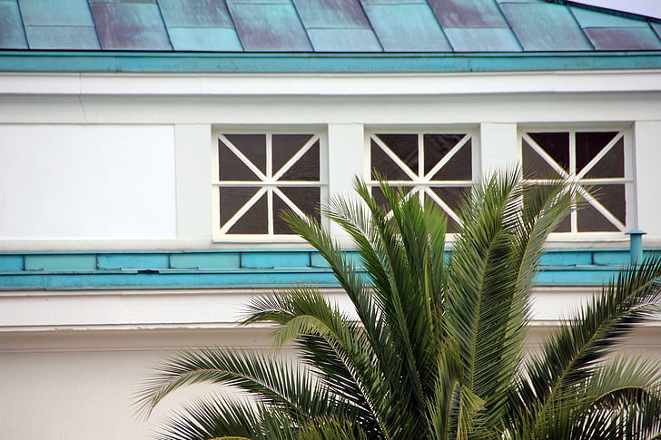 Palm, arbre, bâtiment, fenêtre de, toit, bleu