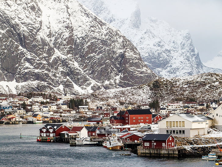 Gunung, Port, rumah, Reine, Lofoten, Norwegia, salju