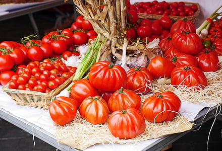 tomatoes, farmers local market, stand, presentation, vegetables, food, healthy