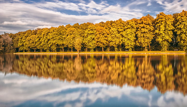 lake, mirroring, forest, summer, park, sky, color