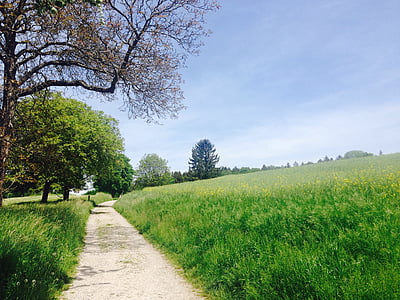 kelio, pieva, Gamta, medis, kaimo scena, žolės, lauke