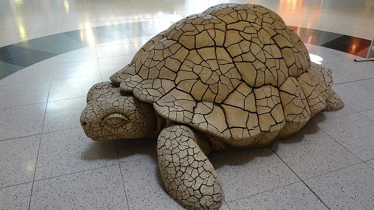 черепаха, Лас-Вегас, Аэропорт, скульптура, настил