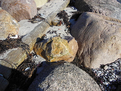 beach, stone, granite, flint, brown flint, wood pole, close-up