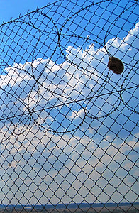 Weaver's nest, hàng rào, làm tổ, Weaver, bầu trời, đám mây