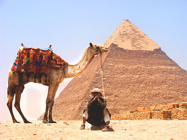 chameau, désert, Pyramid, Moyen Orient, sable, animaux, gens