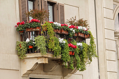 Parveke, kukkalaatikko, kukka, ikkuna, arkkitehtuuri, Euroopan, House
