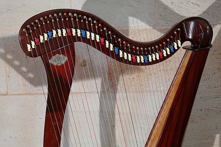 harp, plucked string instrument, musical instrument, stringed instrument, strings, voice pins, neck