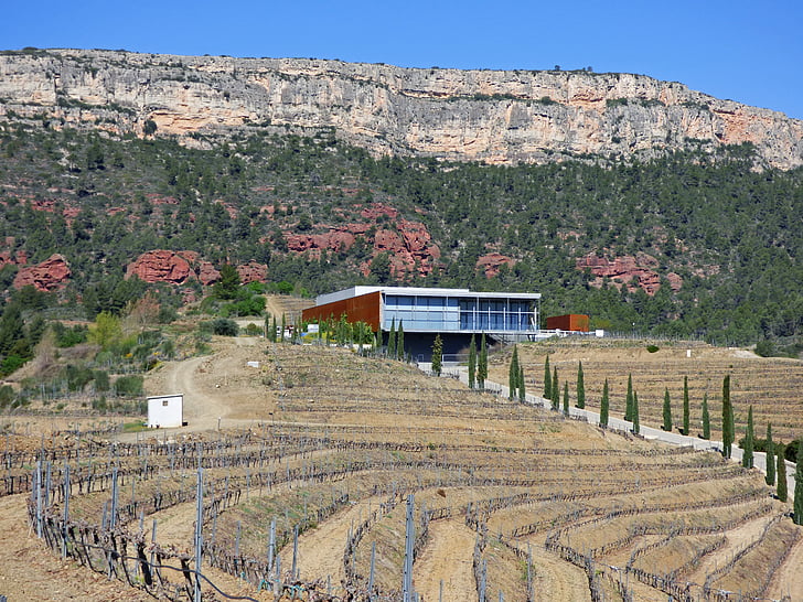 Winery, vignobles, Priorat, architecture moderne, paysage, intégration, montagne