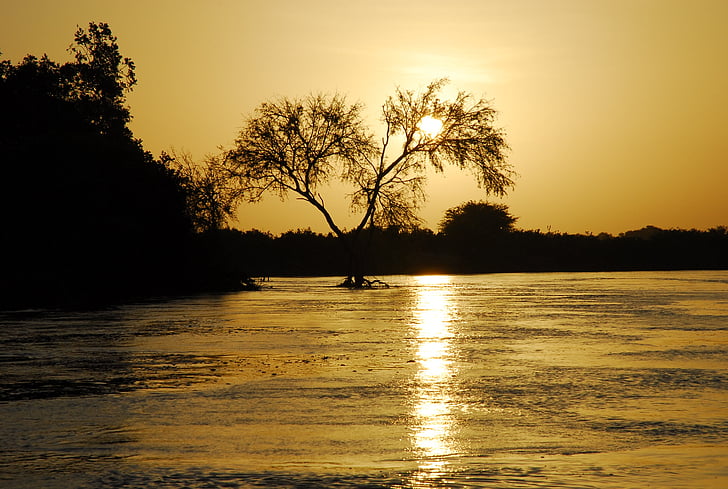 natuur, silhouet, zonsondergang, kleurrijke sunset, Afrika