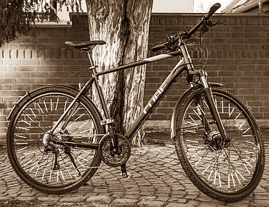 Bike, Trekking, jednotky, koleso, Cyklistika, cyklus, Šport