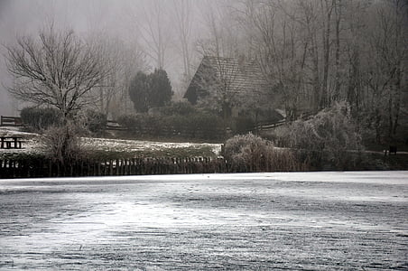 Frosty maaseudulla, Ice, talvi, sumu, jäätynyt järvi, puu, kylmä lämpötila