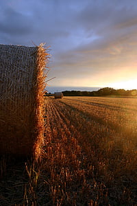 summer, straw, field, sunset, landscape, autumn, farm