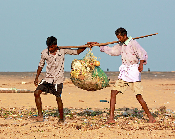 fishermen, nets, ocean, fishing net, equipment, carrying, labor