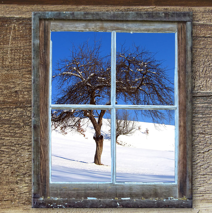 παράθυρο, παλιά, καλύβα, δέντρο, χιόνι, Kahl, βουνά