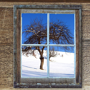 window, old, hut, tree, snow, kahl, mountains