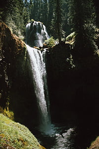 Cachoeiras, cercado, verde, árvores, dia, Cachoeira, riacho