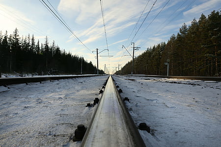 kalla, Utomhus, perspektiv, järnväg, järnväg, snö, träd