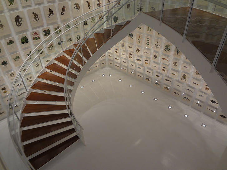 escalera, Instituto itaú cultural, São paulo, colección Brasil
