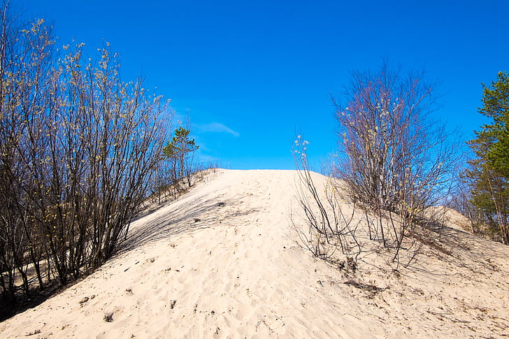 sky, sand, dune, spring, the bushes, upgrade, road