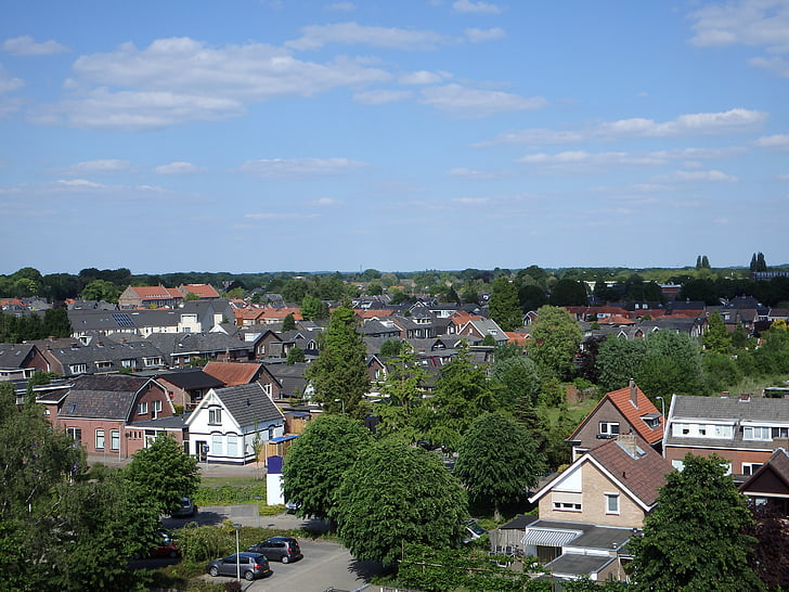 Nederland, Hengelo, Basiliek, lambertusbaseliek, restauratie, bomen, daken
