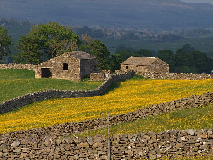 Yorkshire, Inglaterra, Reino Unido, granja, campos, edificios, piedra