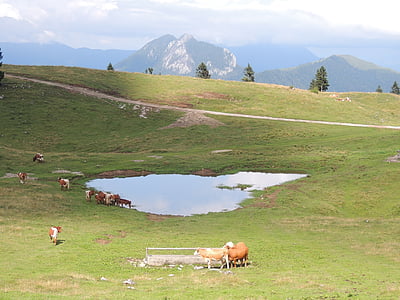 Slovenija, gore, mala planina, jezero, narave, gorskih, travnik