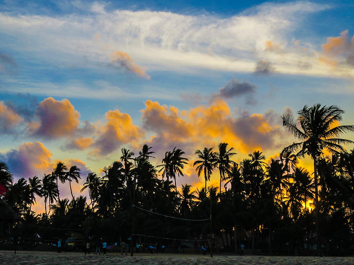 кокосово, дървета, Ориндж, облаците, фотография, палмови дървета, залез